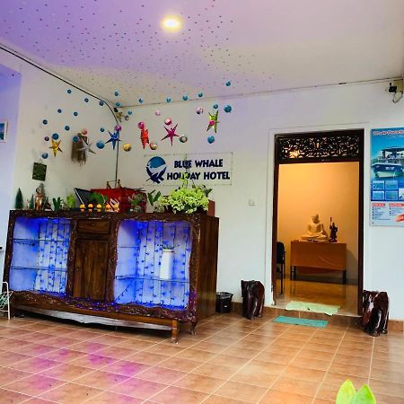 Blue Whale Holiday Hotel Mirissa Exterior foto
