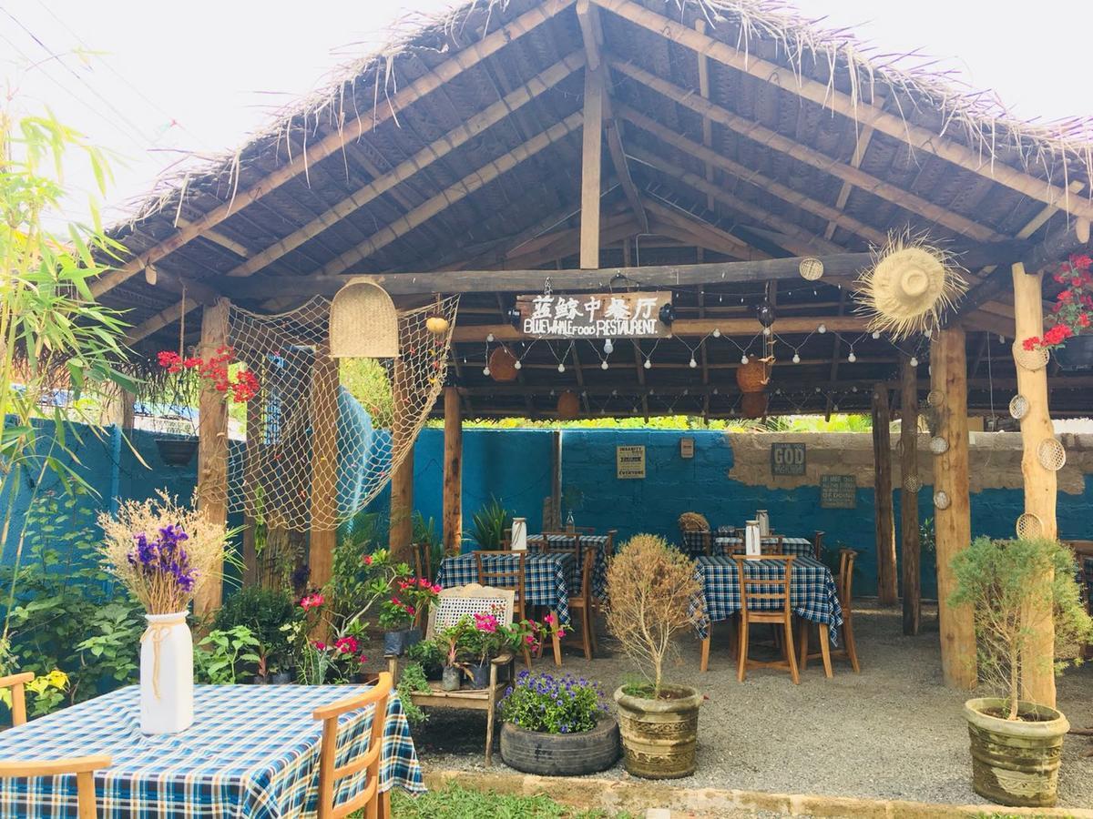Blue Whale Holiday Hotel Mirissa Exterior foto