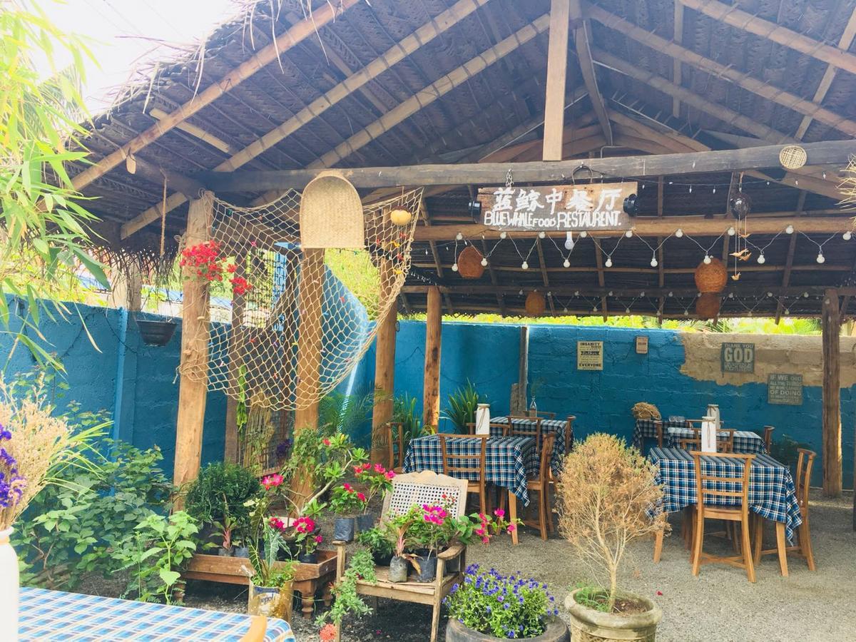 Blue Whale Holiday Hotel Mirissa Exterior foto