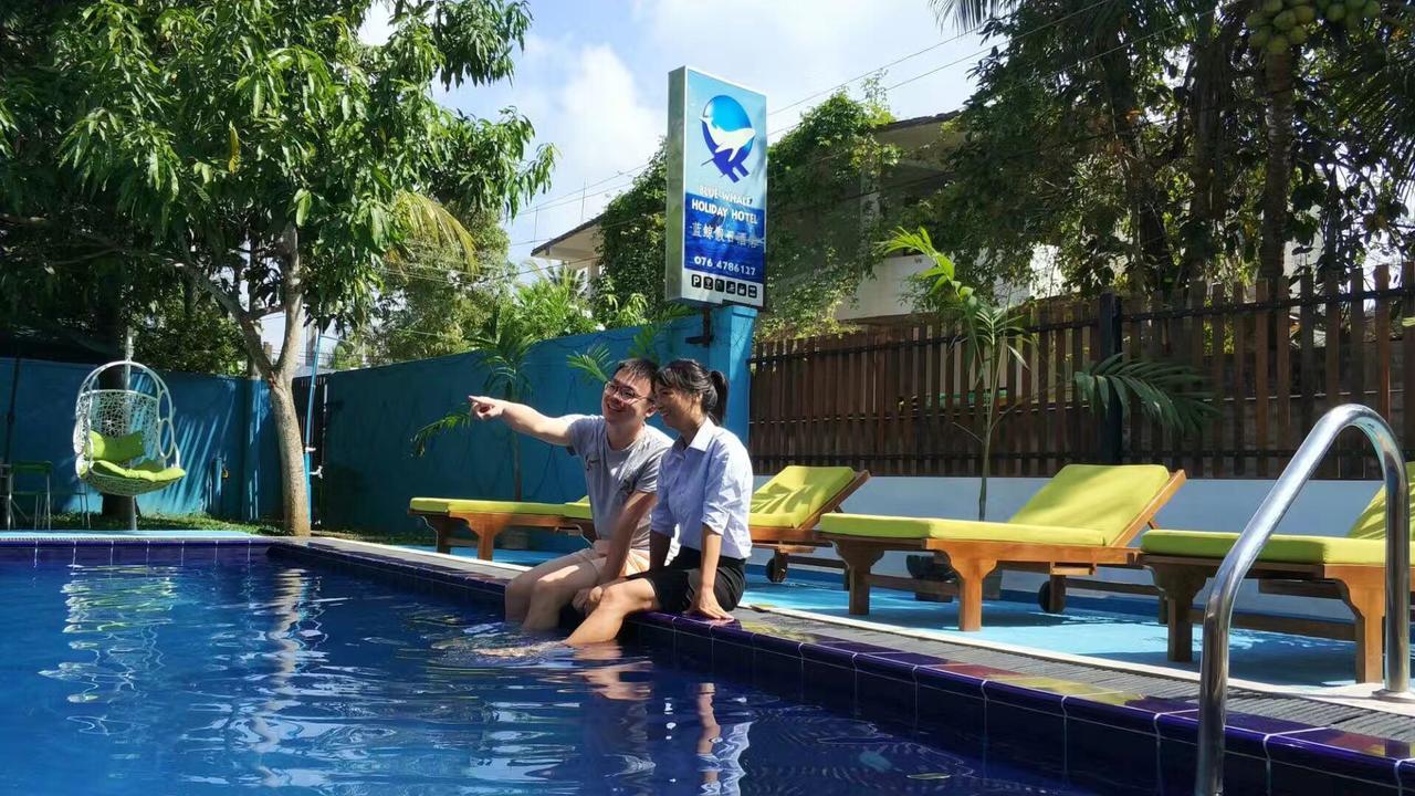 Blue Whale Holiday Hotel Mirissa Exterior foto