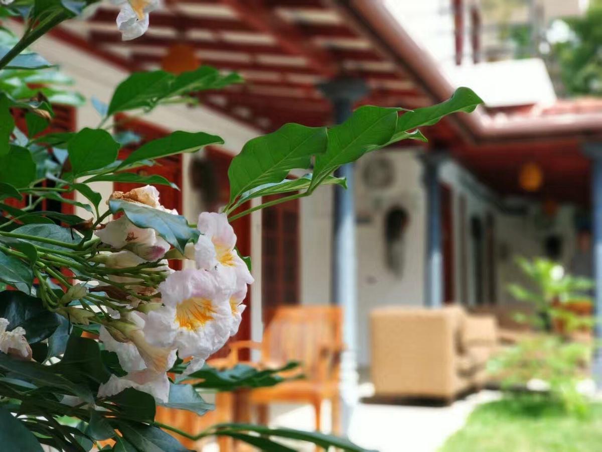 Blue Whale Holiday Hotel Mirissa Exterior foto